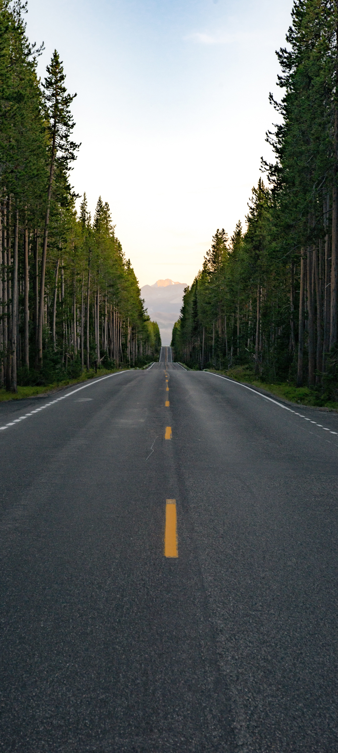 美丽森林公路风景手机图片壁纸 配图01