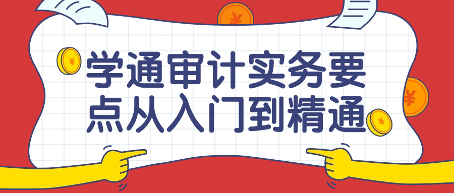 学通审计实务要点从入门到精通课 配图01